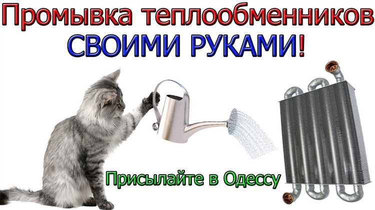 Как промыть теплообменник двухконтурного котла в домашних условиях Как промыть теплообменник двухконтурного котла в домашних условиях