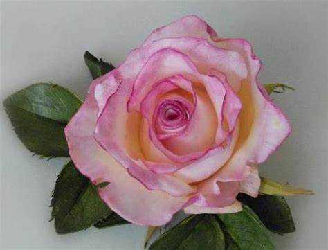 Техника вырезания деталей без деформации