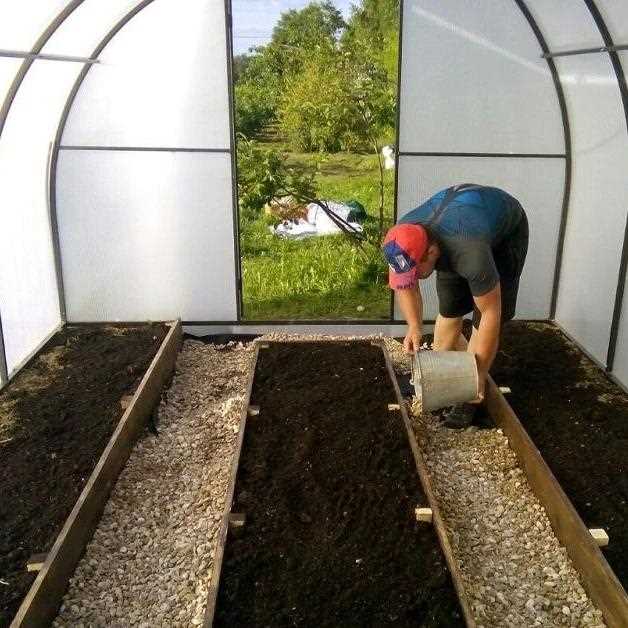 Выбор количества грядок: две, три или центральная с проходами