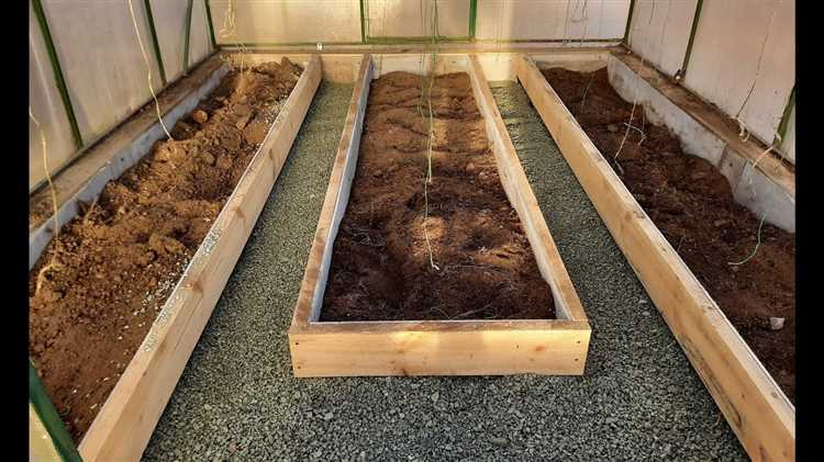 Расположение грядок по сторонам света для лучшего освещения