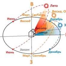Как минимизировать затенение теплицы деревьями и кустарниками
