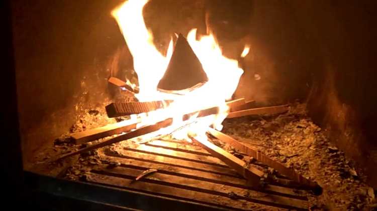 Подготовка дров и выбор подходящей древесины