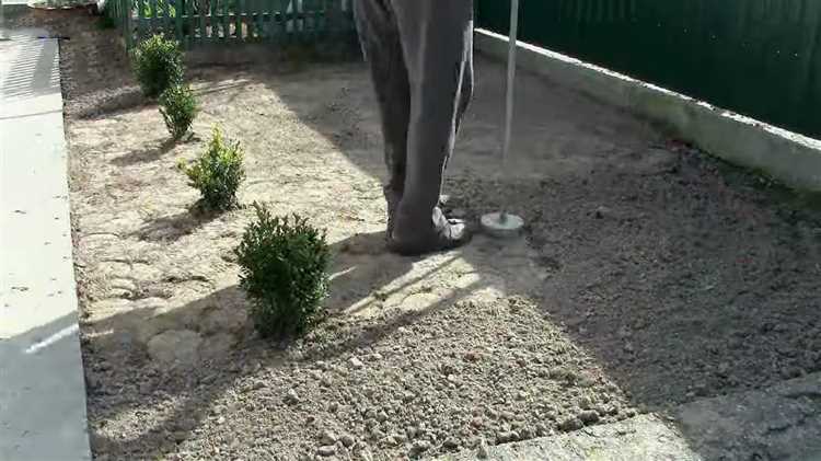 Подготовка почвы для равномерного распределения семян