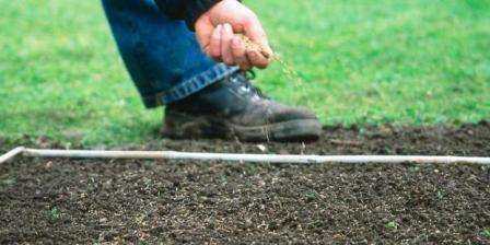 Как равномерно посеять газонную траву без сеялки