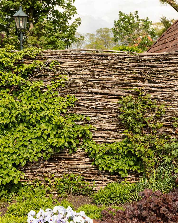 Как организовать подведение воды, электричества и канализации