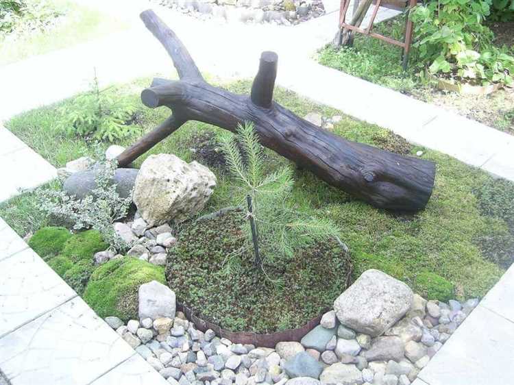 Как подготовить участок к посадке растений и устройству газона