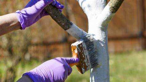 Чем и как перемешивать раствор, чтобы избежать комков