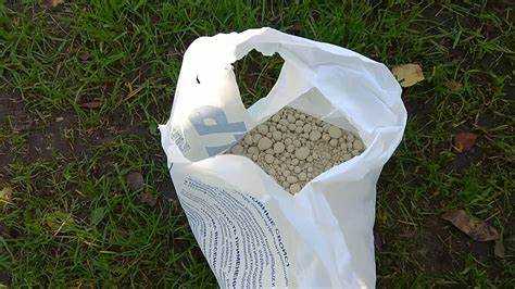 Какие добавки можно использовать для улучшения качества побелки