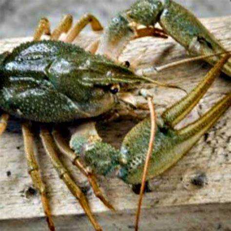 Контроль качества воды и поддержание микроклимата