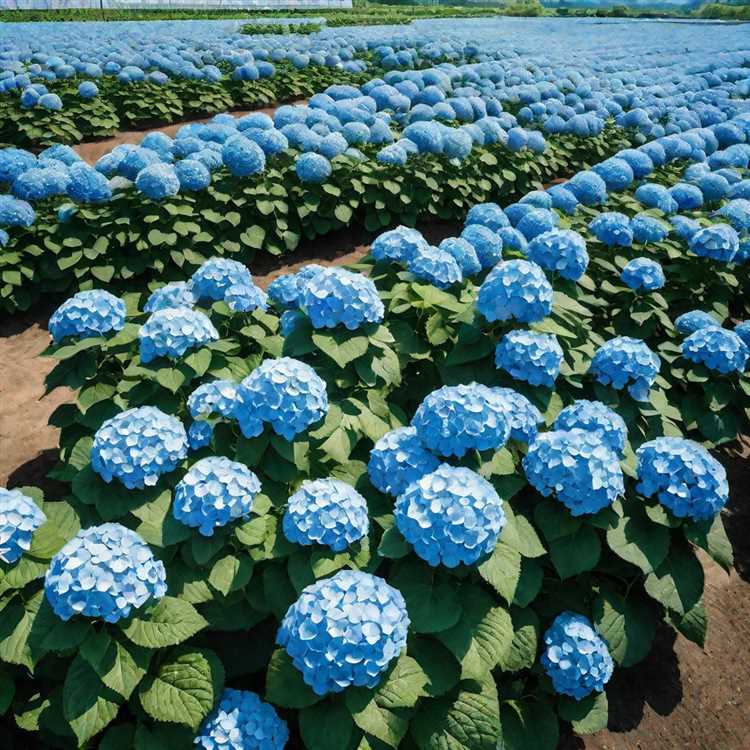 Как организовать полив и подкормки после заморозков