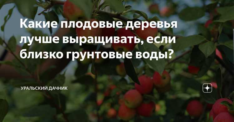 Как сажать деревья если близко грунтовые воды