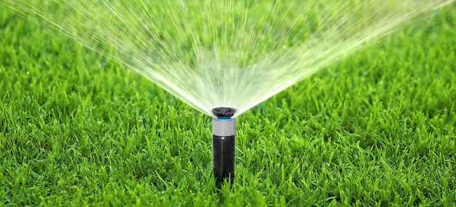 Выбор подходящей ёмкости для корпуса дождевателя