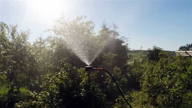 Способы подключения дождевателя к садовому шлангу