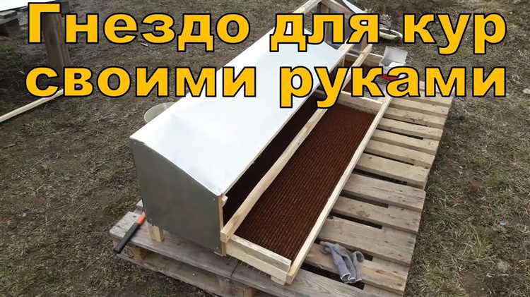 Обслуживание и регулярная очистка гнезд с яйцесборником