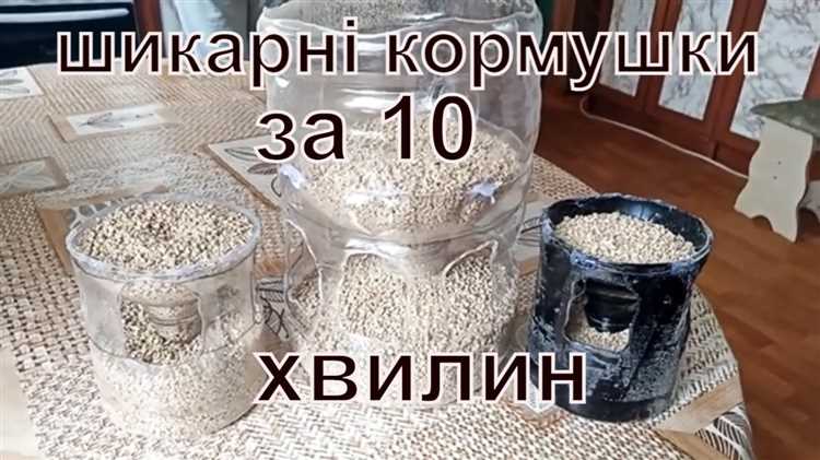 Выбор материалов для кормушки: что лучше использовать