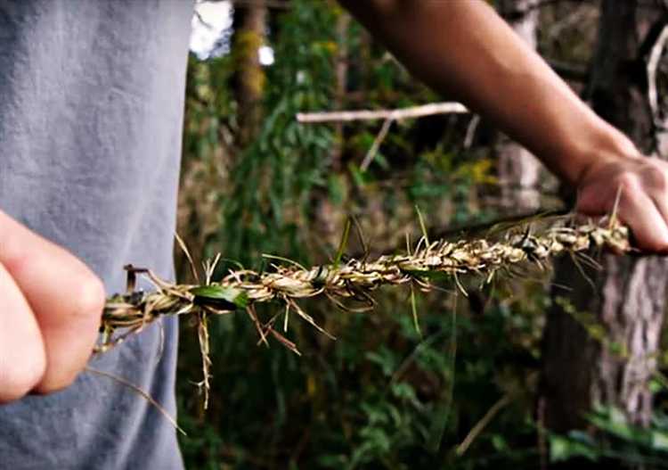 Подготовка волокон: очистка, сушка и разбиение на нити