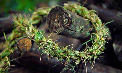 Метод скручивания: классическая трехпрядная техника