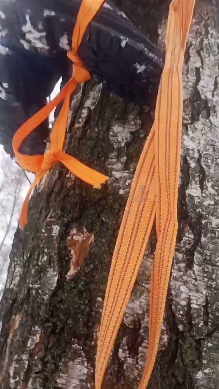 Как сделать веревку в лесу
