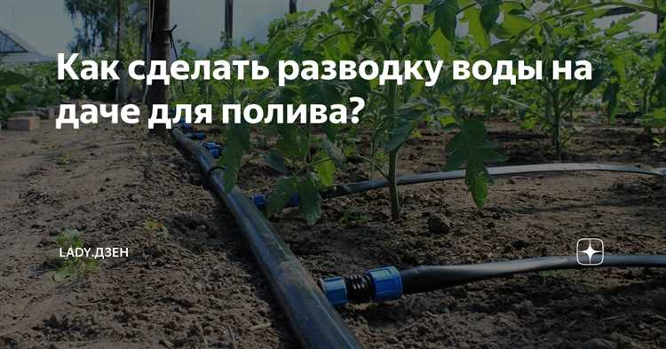 Выбор источника водоснабжения: колодец, скважина или центральный водопровод