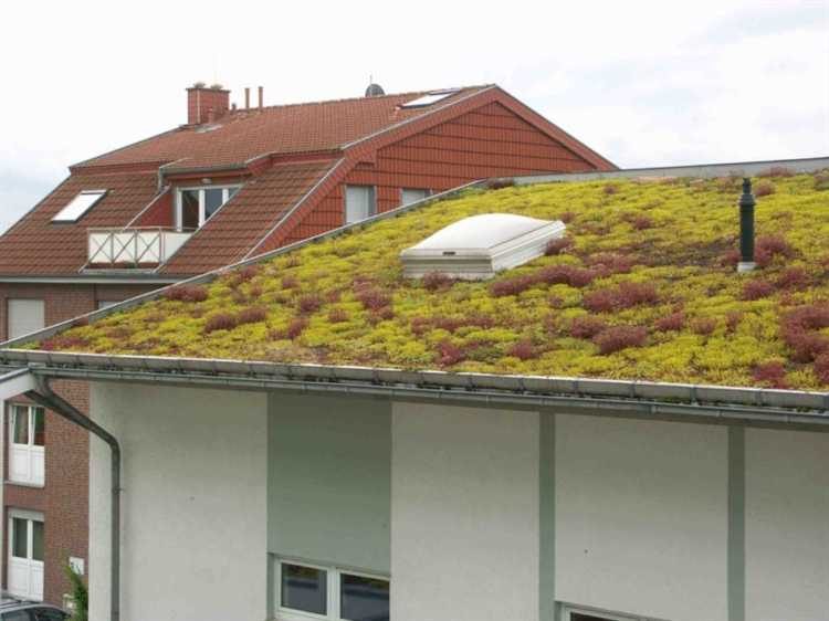 Обслуживание и сезонный уход за зеленой крышей