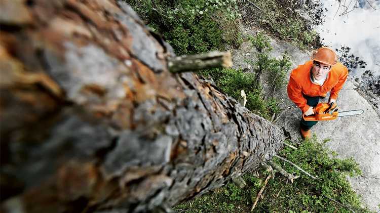 Как спилить дерево бензопилой в нужном направлении