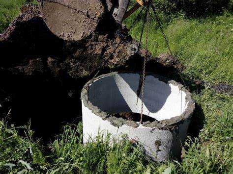 Анализ растительности как индикатора близости воды