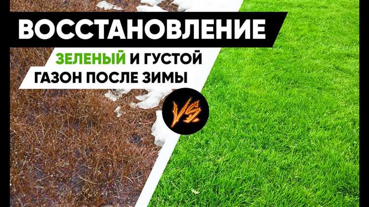Как правильно собирать крупный мусор и ветки