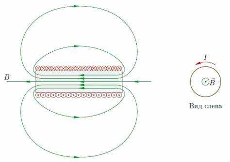 Определение и визуализация магнитных линий в однородном поле