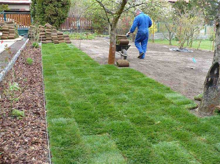 Выбор правильной насадки для мотоблока при выравнивании почвы