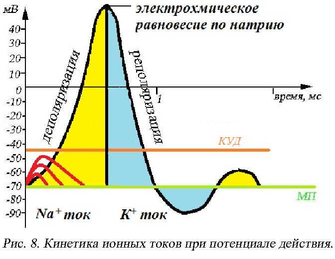 Технический потенциал оборудования: ключевые параметры и метрики