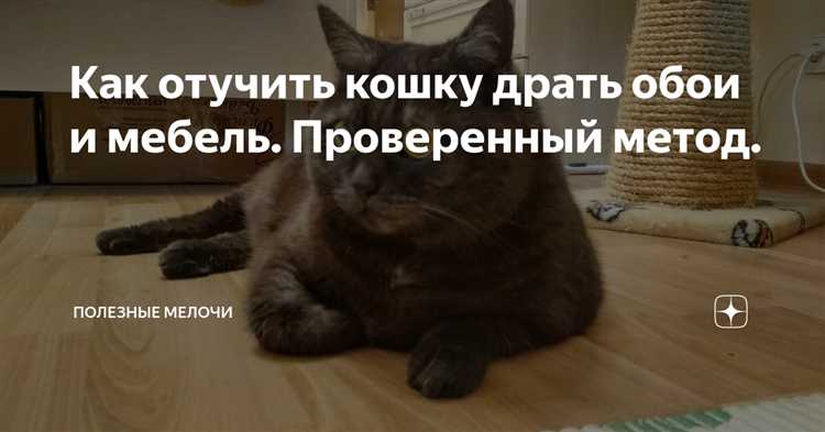 Стоит ли использовать защитные покрытия поверх обоев