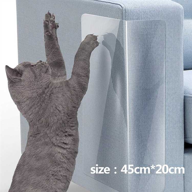 Подходят ли жидкие обои для дома с котом