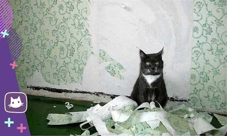 Металлизированные обои с алюминиевой фольгой или покрытием на основе полимеров менее подвержены повреждениям от когтей. Они не дают кошке зацепиться, а гладкая поверхность препятствует продолжению царапания.