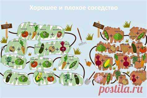 Ошибки при составлении схем совместной посадки и как их избежать