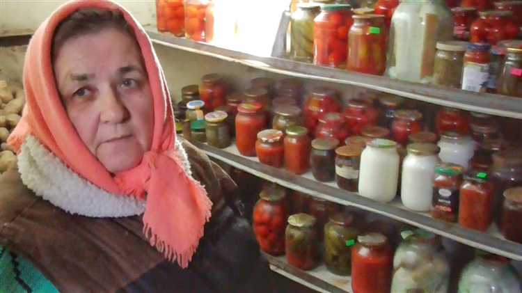 Как подготовить вентиляцию погреба к зимнему периоду