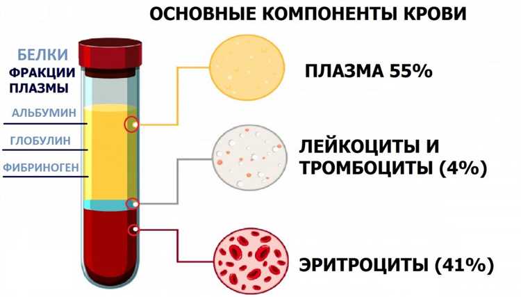 Рукоятка лопаты: типы, эргономика и долговечность