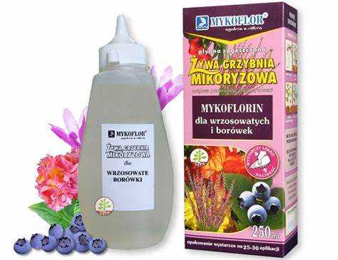 Совместимость микоризных грибов с удобрениями для голубики