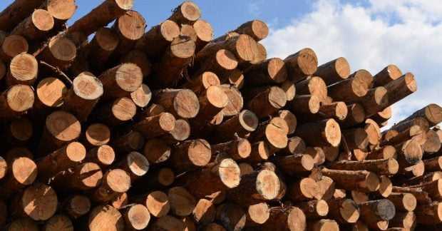 Приспособления для безопасной фиксации дров при распиле