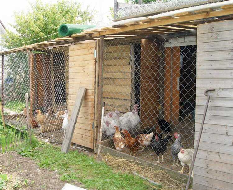 Плюсы и минусы инфракрасных обогревателей для курятника