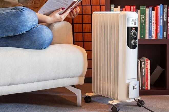 Как экономить электроэнергию при обогреве курятника зимой