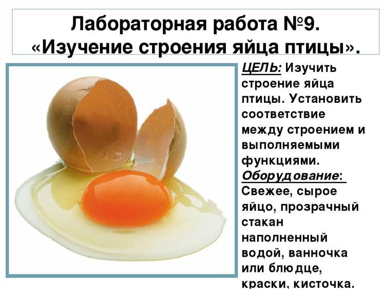 Какие продукты придают желтку насыщенный оранжевый оттенок