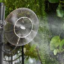 Связь температурного режима с поглощением питательных веществ