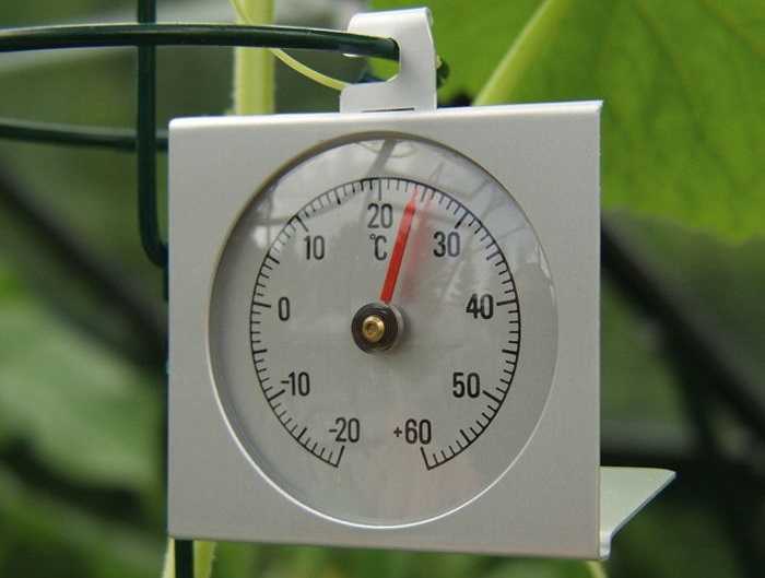 Зачем поддерживать температуру ночью в холодное время года