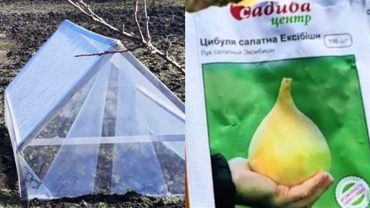 Выявление признаков грибковых заболеваний