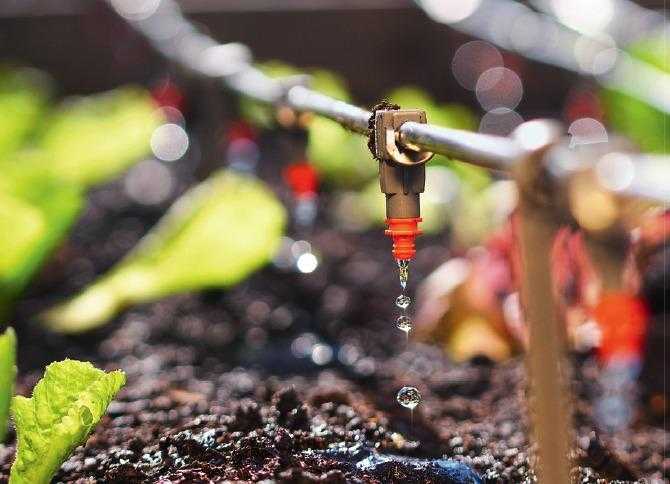 Создание автоматической системы полива с минимальным обслуживанием