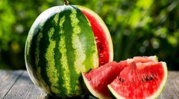 Как сорт арбуза влияет на количество плодов с куста