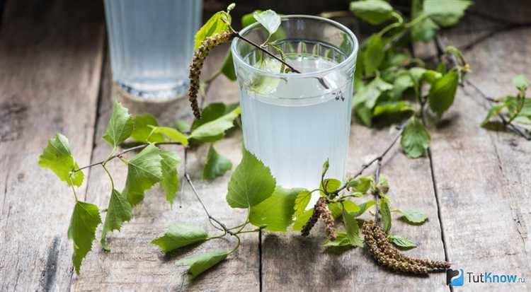 Почему после среза ветки на березе начинает течь сок