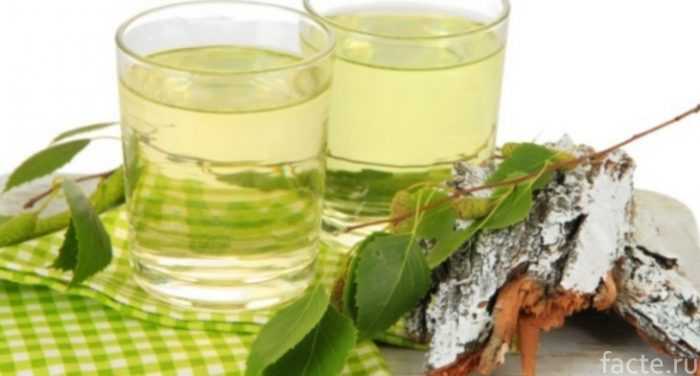 Профилактика сокотечения при последующих обрезках березы