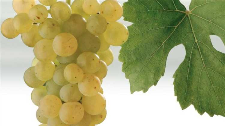 Как снять столешницу со стола Регент без повреждений