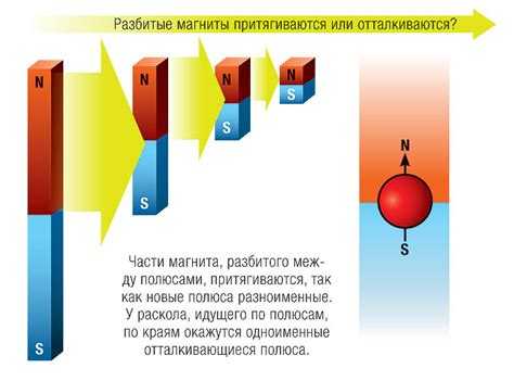 Как различаются северный и южный полюса магнита по действию
